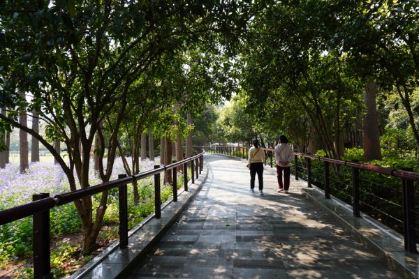 凯丰配资 上海中心城区有城墙的公园，为什么不能打开这道门？