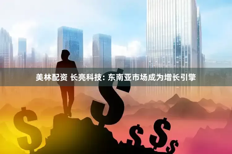 美林配资 长亮科技: 东南亚市场成为增长引擎