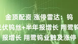 金顶配资 涨停雷达：钨产业链+光伏钨丝+半年报增长 翔鹭钨业触及涨停