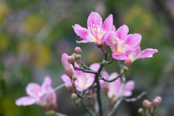 尚求100 广东冷空气“续杯”，但有个坏消息！