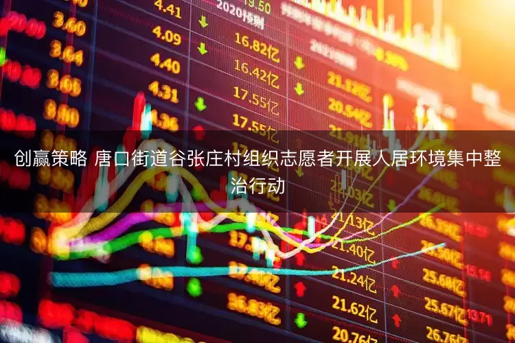 创赢策略 唐口街道谷张庄村组织志愿者开展人居环境集中整治行动
