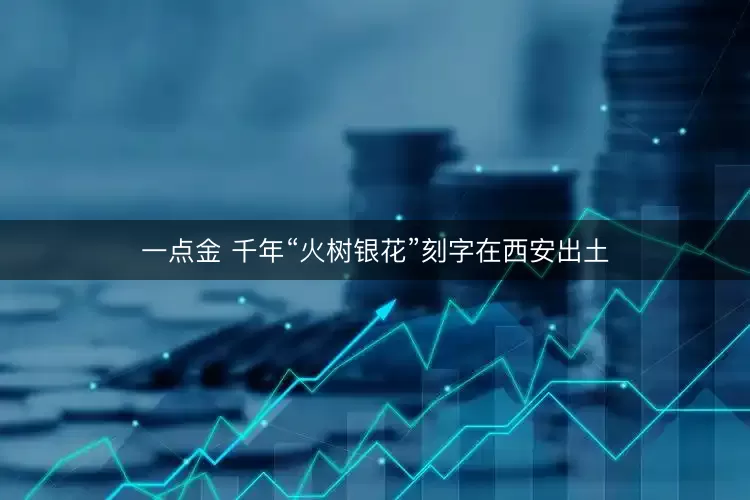 一点金 千年“火树银花”刻字在西安出土